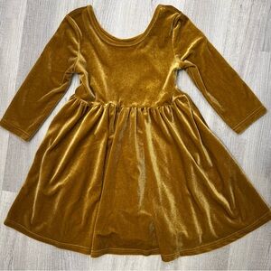 Taylor Joelle Velvet Swing Dress